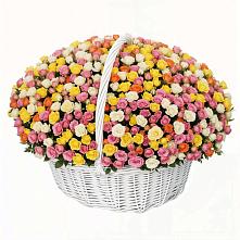 Премиум букет из: Розы в Александровское Томской области