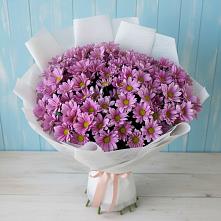 Букет цветов из:  Хризантемы #REPLACE_PRED# Александровское Томской области