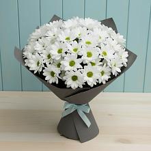 Букет цветов из:  Хризантемы в Александровское Томской области
