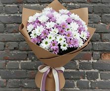 Букет цветов из:  Хризантемы #REPLACE_PRED# Александровское Томской области