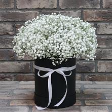 Цветочная композиция из Гипсофила в шляпной коробке #REPLACE_PRED# Александровское Томской области