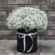 Цветочная композиция из Гипсофила в шляпной коробке в Александровское Томской области