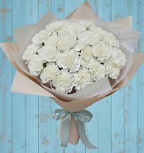 Букет цветов из:  Гвоздики в Александровское Томской области