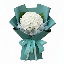 Букет цветов из:  Гортензия в Александровское Томской области